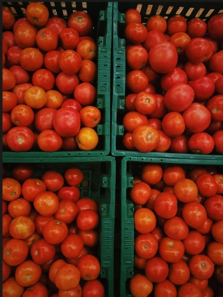 Tomate
