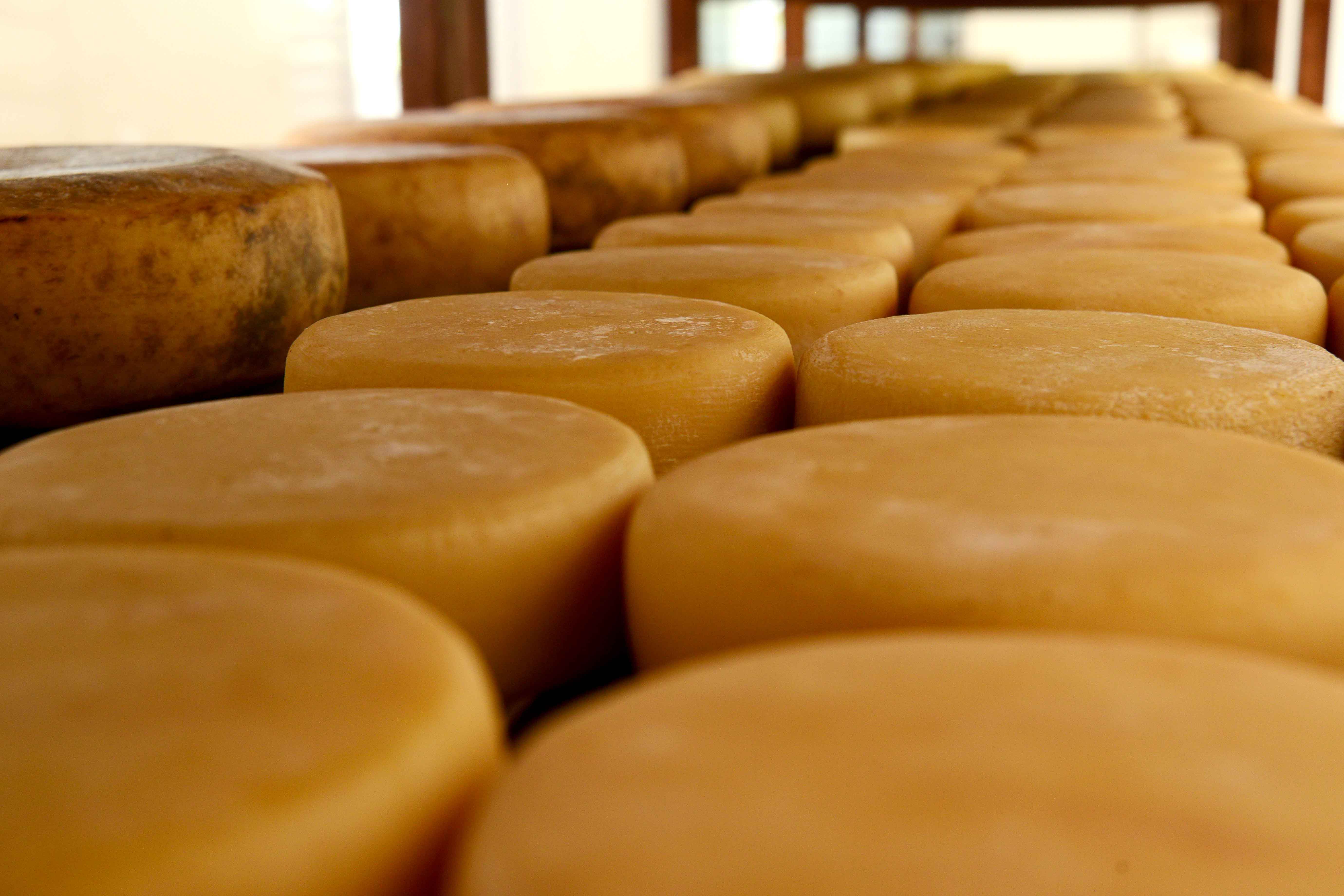 Queijo Caseiro